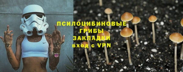 спайс Алексин