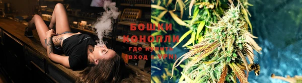 спайс Алексин